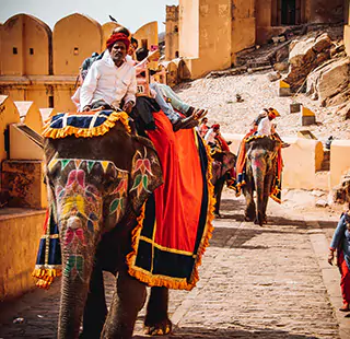 Rajasthan Tour Operator
