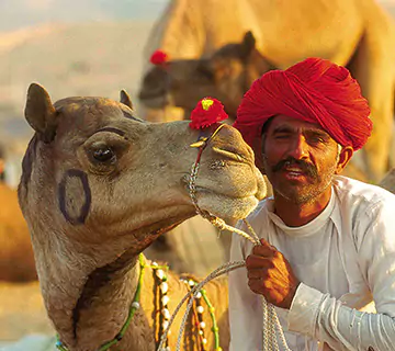 Pushkar Fair Tour Package